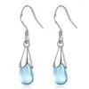 Dangle Earrings Wholesale 925 Sterling Silver Women Fashion Jewelry High Quality Blue Crystal Zircon Selling Long Tassel