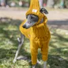 Dog Apparel Warm Autumn Pet Sweater Stylish Turtleneck Italian Greyhound Clothes Whippet Clothing 231206