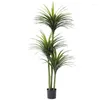 Flores decorativas 1.5m árvore de sangue de dragão artificial bonsai planta decoração vasos de jardim e plantador chão falso ornamento verde