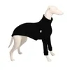 Cão vestuário algodão italiano galgo roupas Whipple roupas cão grande roupas de cachorro alto colarinho roupas de cachorro 231206