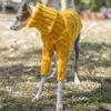 Dog Apparel Warm Autumn Pet Sweater Stylish Turtleneck Italian Greyhound Clothes Whippet Clothing 231206