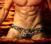 2021 sexy leopard gay men swimwear beach shorts men swimming suit board swim briefs swimsuit trunk de praia homens bathing suits2255915