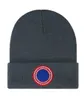 Designer de mode Beanie Skull Caps Designer élégant Goose Cap lettre hiver luxe bonnets pour hommes femmes chaud laine chapeau unisexe B-15