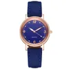 ساعات المعصم Sdotter 2023 Women Fashion Nylon Strap Watches Luminous Simple Ladies 'Dial Quartz Clock Dress Reloj