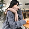 Scarves Soft Fabric Scarf Thick Warm Imitation Cashmere Women's Winter Neck Protection Windproof Decorative Lady Shawl Cozy