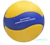 Volleyball PU Ballsport Sand Strand Spielplatz Fitnessstudio Spiel Tragbares Training für Kinder Profis MVA