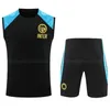 Polo Vest Inter Lukaku Soccer Tracksuits 23 24 Barella Vidal Lautaro Eriksen Alexis Dzeko Correa Uniforms 2023 2024 Milan Short Sleeve Pants Training Set Vest