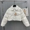 2023 Autumn/winter New Nanyou Gaoding Miu Corduroy Short Black and White Two Wear Versatile Thick Flip Collar Down Jacket