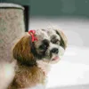 犬のアパレル50pcsクリスマスペットの髪の毛がゴムバンドヘッドレスの髪の毛が弾力性のあるトップノット子犬猫ミックススタイルのアクセサリーのためのトップノット