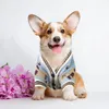 Hundebekleidung Luxuskleidung Haustierpullover für mittelgroße Welpenpullover Chihuahua Windhund Modeweste Outfit Kostüm