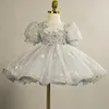 Girl s Dresses Girls Princess Dress Summer Puff Sleeve Children Mesh Tutu Baby Kids Shiny Sequin Birthday Party Clothing Wedding 231207