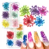 Nail Art Decorations 12Pcsbox 3D Dried Flowers Nail Art Decorations Real Dried Flower Stickers DIY Manicure Charms Designs For Nails Accessories 231207