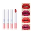 Lipstick 4pcsBox Cigarette Shape Matte Waterproof Matt Longlasting Smoke Tube Velvet Lip Tint Set 231207