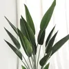 Decorative Flowers Bird Of Paradise Tree Shop Decoration Green Plants Large Potted Plant Living Room Home