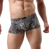 Sous-pants 3pcs / lots Leopard Sous-vêtements Sexy Boxer Boxer Boxer Cucea Gay Boxershorts Slip Homme Bikini Briefs