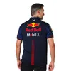 Мужские футболки Уличные футболки F1 Racing 2023 Новая командная рубашка поло с короткими рукавами Мужская быстросохнущая летняя одежда для рабочего автомобиля 8ldd