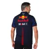 メンズTシャツアウトドアTシャツF1レーシング2023新しいチーム短袖ポロシャツメンズファースト乾燥サマーショップワークカースーツ8LDD