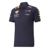 T-shirts pour hommes T-shirts d'extérieur F1 Racing Polo Chemise Nouvelle chemise de cross-country Combinaison de moto à manches courtes Atterrissage rapide Gvux