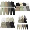 후드 MENS 트랙 슈트 디자이너 까마귀 필 Essentoodhoody Set Sudaderas ESS 스웨트 셔츠 바지 여성 후드 트랙 정장 스포츠웨어 스웨트 셔츠 재킷 트랙 슈트 GXFT