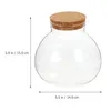 Vasen Mini-Landschaftsflasche, versiegeltes klares Terrariumglas, Mikrolandschaftsglas, kugelförmig, ökologisch