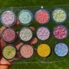 Shell Shellwe maquillage des oiseaux errants Collectiodn Pressé Multichrome Flake Clear Eyeshadow Palette Duochrome 231207