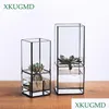 Planters POTS NORDIC TRANSPARENT GLASS DUBILT LAYER Hydroponic Sucent VASE VASE GEOMETRY Blomma Inserter Home Decoration Pot Drop de Dhnzs