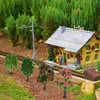 Fiori decorativi Ferrovie Alberi Modello Paesaggio in miniatura Scenario Tavolo con sabbia finta Ornamenti artigianali fai-da-te Accessori