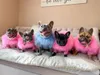 Hundkläder färgglada valpkläder designer hundkläder liten hund katt lyx tröja schnauzer Yorkie poodle pälsrock 231206