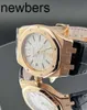 Men Audemar Pigue Watch Aebby Royal Oak Offshore Mechanical Men's Sports Fashion Wristwatch Piglet 15300orood088cr02 Self Chain 39mm Case 618 WN-KARK2THP