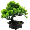 Fiori decorativi Pianta artificiale in vaso Albero bonsai Decorazioni da scrivania realistiche Piante finte Mini ornamenti