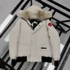 Canada Men's Down Puffer Jacket Canadian Goose Jackets Mens Womens Parkas Down Homme Winter Coat Jassen Puffer 6 Tdy6