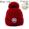 Fashion New Designer hats Men and women beanie fall/winter thermal knit hat ski brand bonnet High Quality Skull Hat Luxury warm cap N-11