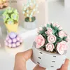 Block DIY MOC Potted Plants Succulents Cactus Gypsophila Bonsai Tree Gardens Romantiska byggstenar Modell Bricks Kids Set Kits Toys R231208