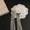 Orecchini con nappa con diamanti di design originale Orecchini regalo boutique classici Regalo di nozze di compleanno Gioielli di alta qualità Donna Nuovi orecchini con ciondolo placcato argento