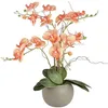 Fiori decorativi Fiore di orchidea arancione 22 1/2" alto finto floreale in vaso di ceramica grigia Mensola da tavolo Decorazione da banco in tessuto artificiale