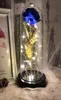 2021 LED Enchanted Galaxy Rose Fleur éternelle en feuille avec des guirlandes lumineuses en dôme pour Noël Cadeau de la Saint-Valentin Navida7898672347