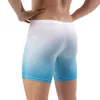 Underpants CLEVER-MENMODE Men Underwear Boxers Shorts Sexy Gradient Color Panites Bulge Penis Pouch Long Leg Underpant Boxershorts Cueca