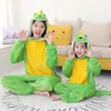 Rompers Kigurumi Anime Bodysuit for Kids From 4 to 12 Years Green Dinosaur Costume Cute Cartoon Animal Onesie Boys Girls Winter Pajamas 231208