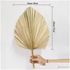 Party Decoration 4pcs Natural Dried Palm Leaves Tropical Bohemian Spears Window Art Wall Hanging Birthday Drop Delivery Home Garden Fe Otcgp