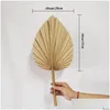 Party Decoration 4pcs Natural Dried Palm Leaves Tropical Bohemian Spears Window Art Wall Hanging Birthday Drop Delivery Home Garden Fe Otcgp