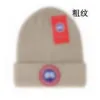 Designer Brand Men's Beanie Hat Women's Autumn and Winter Small Fragrance Style New Warm Fashion Knitted Hat T-8