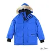 Kanadalı Kaz Ceket 14 Renk Tasarımcı Giyim En Kalite Kanada Parka Wolf Gerçek Erkek Aşağı Ceket Kadınları Ceket Kış Vücudu Sıcak 8480 7398