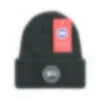 Projektantka marki męskiej czapki kobiet jesienne i zima mały w stylu zapachu Nowy ciepły mody dzianinowy kapelusz T-12