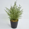 Decorative Flowers Small Fragrant Pine Potted Artificial Simulation Christmas Tree Landscape Four Seasons Green Plant Decor