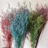 Flores decorativas 35-45cm 80g natural preservado buquê de grama dos namorados planta dança para decoração de casamento sala de estar