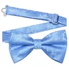 Nœuds papillon RBOCOHaute qualité Paisley Bowtie Party Mariage Single Fold Style Cravate Bleu Noir Rose Bowknot Accessoires Papillon Cadeau