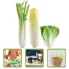 Decorative Flowers Simulated Vegetable Model Ornament Simulation Artificial Restaurant Props Veggies