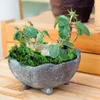 Decorative Flowers Faux Plants For Outdoor Winter Floral Centerpieces Artificial Potted Greenery Home Decor Fairy Garden