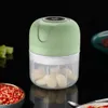Fruit Vegetable Tools Mini USB Wireless Electric Garlic Masher 100/250ml Press Mincer Vegetable Chili Meat Grinder Food Chopper Kitchen Accessories 231207