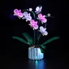 Block Lazishi LED -ljus för 10311 Orchid -belysning DIY -leksaker (inkluderar inte modellen) R231208